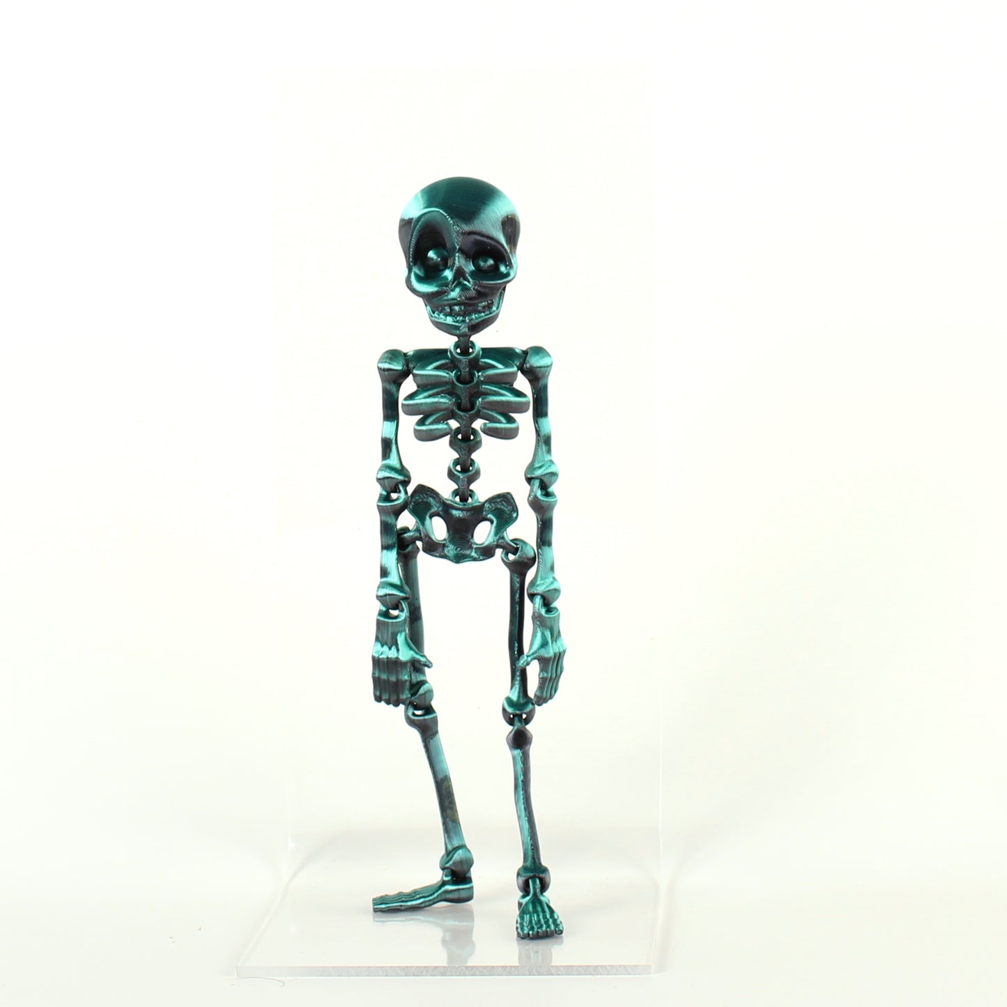Skeledude Fidget & Magnet