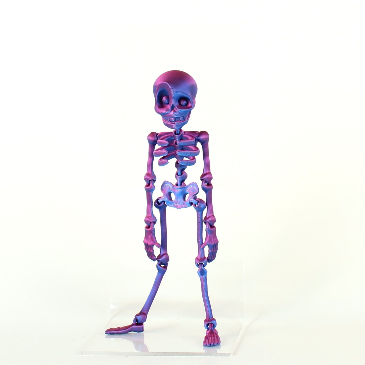 Skeledude Fidget & Magnet