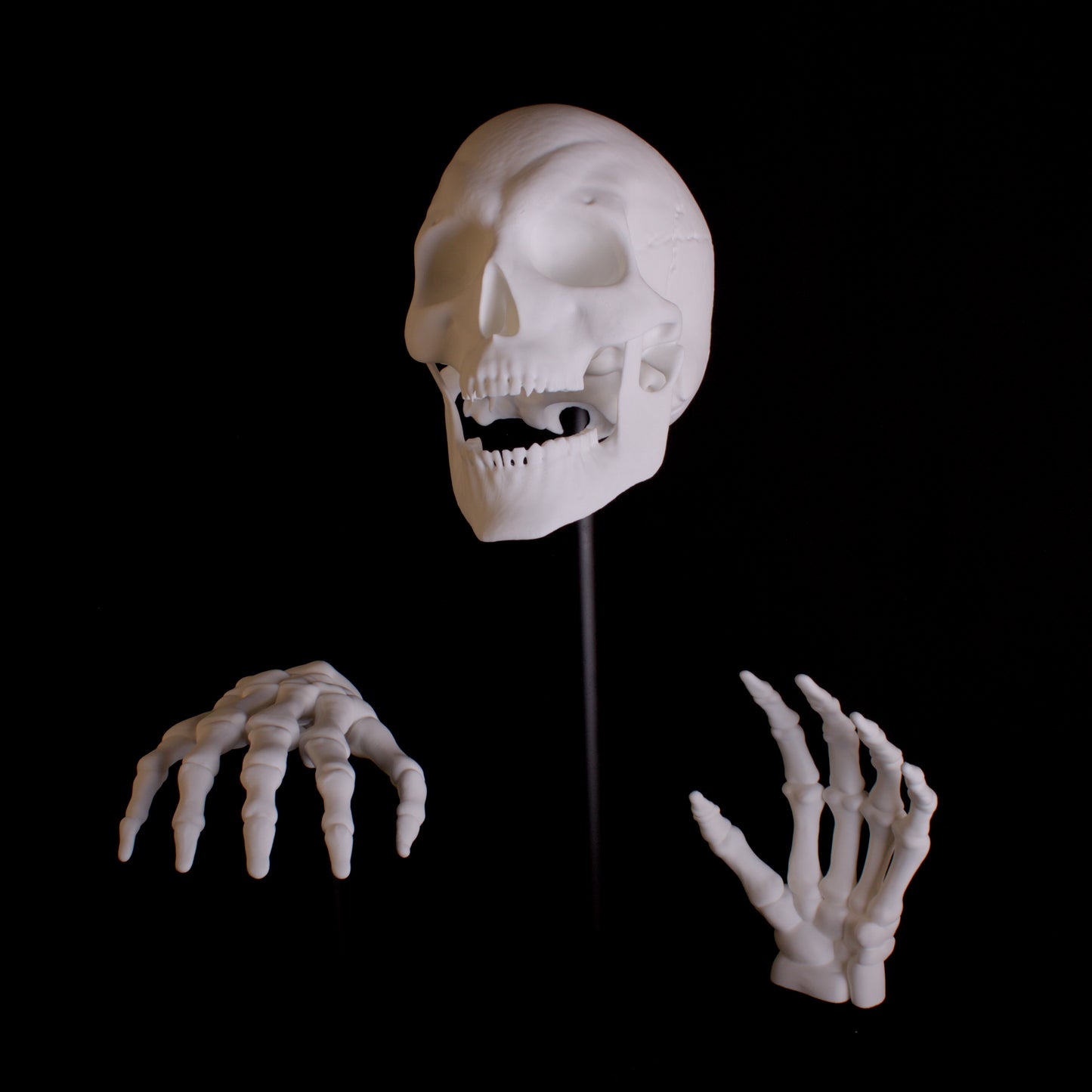 Wall Mounted Skull and Skeleton Hands