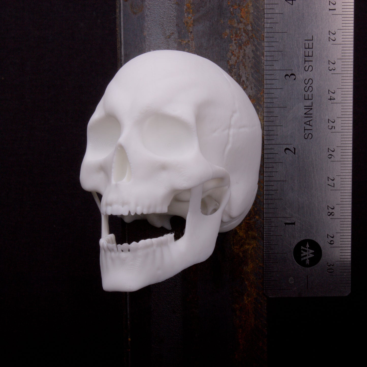 Gothic and Horror Magnet Monster Heads