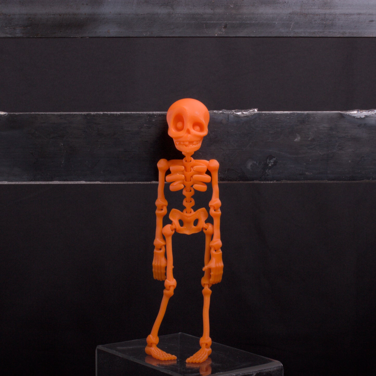 Skeledude Fidget & Magnet