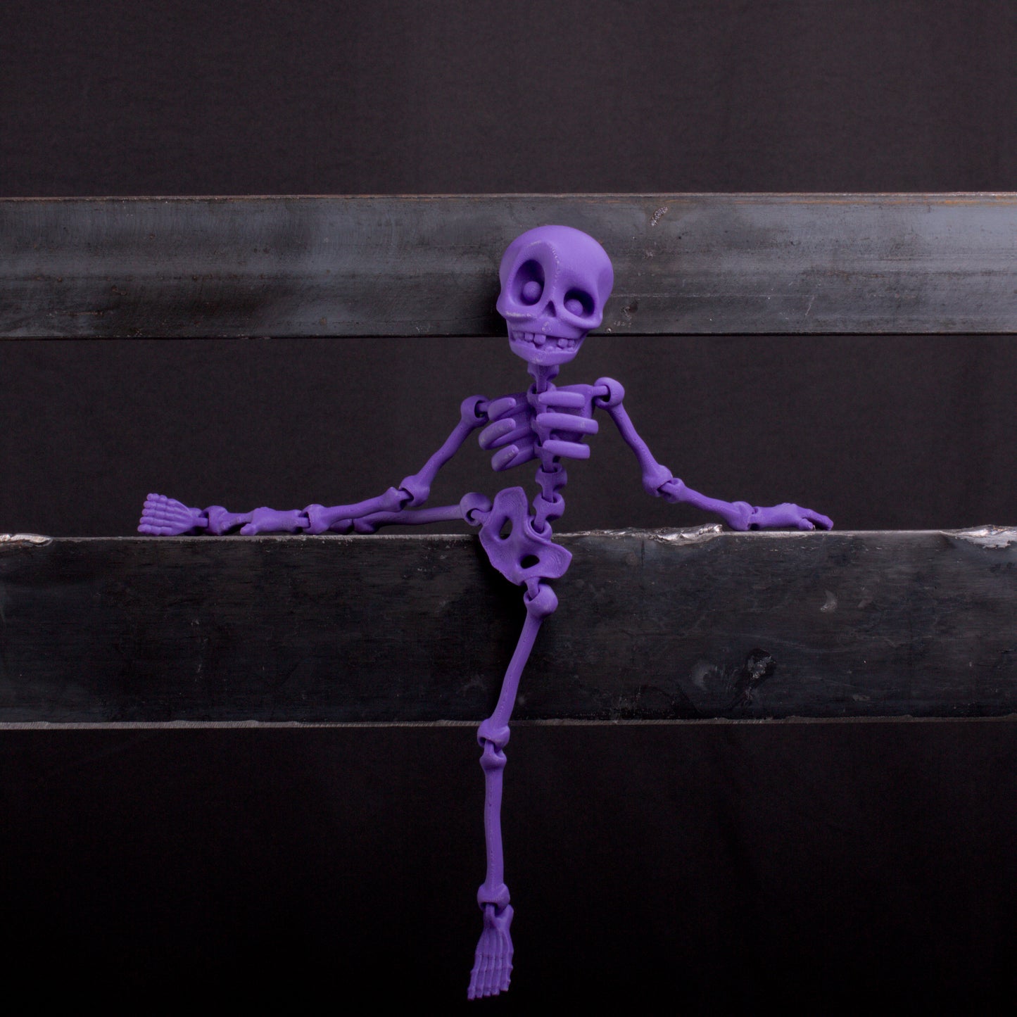 Skeledude Fidget & Magnet