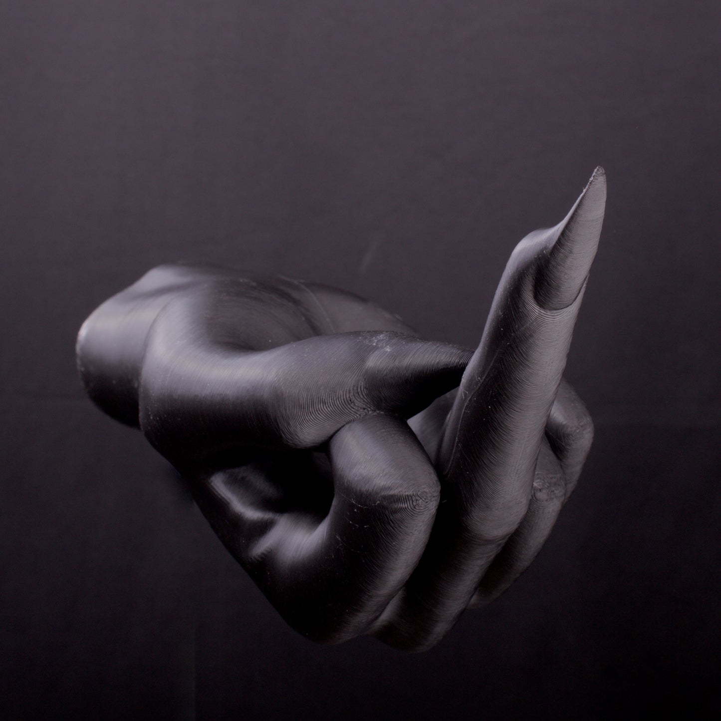 Birdflip Hands - Wall Mounted Resistance