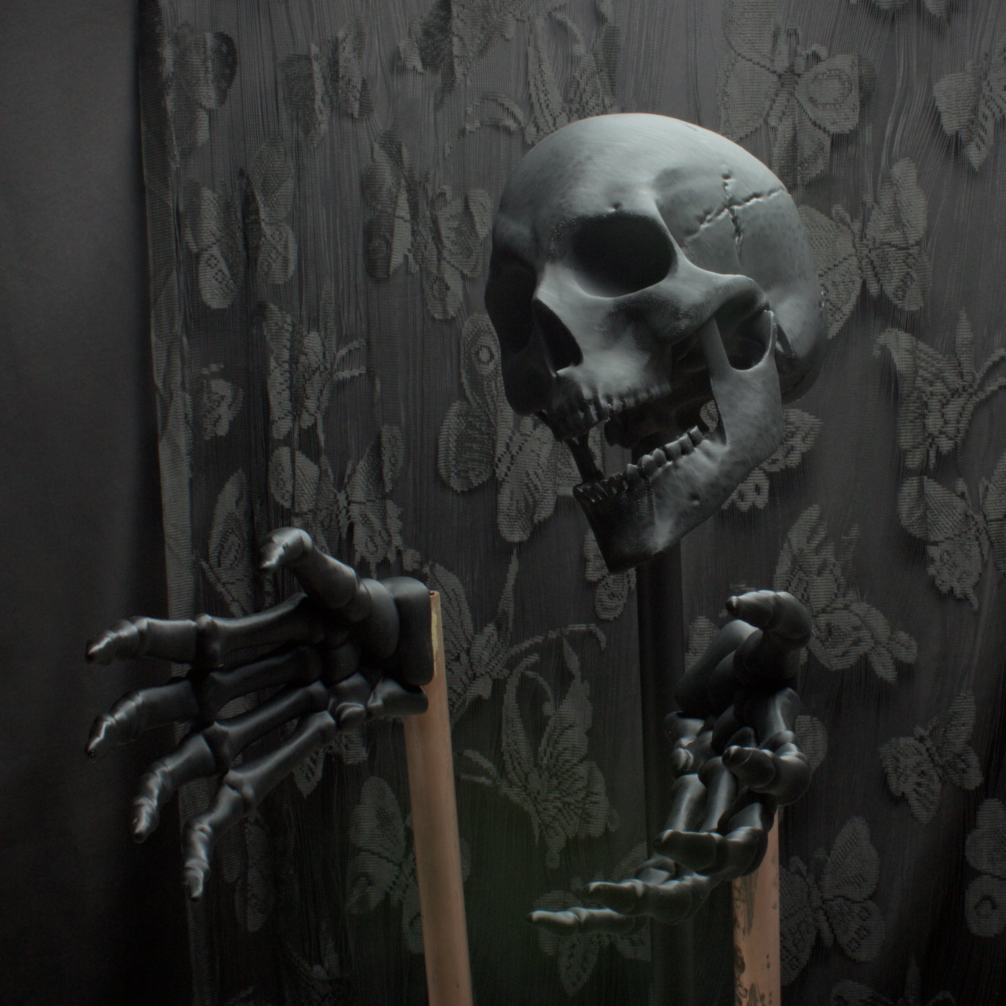 Wall Mounted Skull and Skeleton Hands