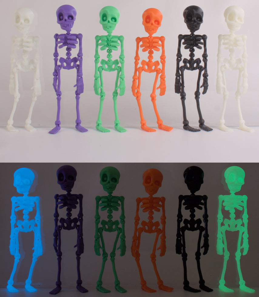 Skeledude Fidget & Magnet