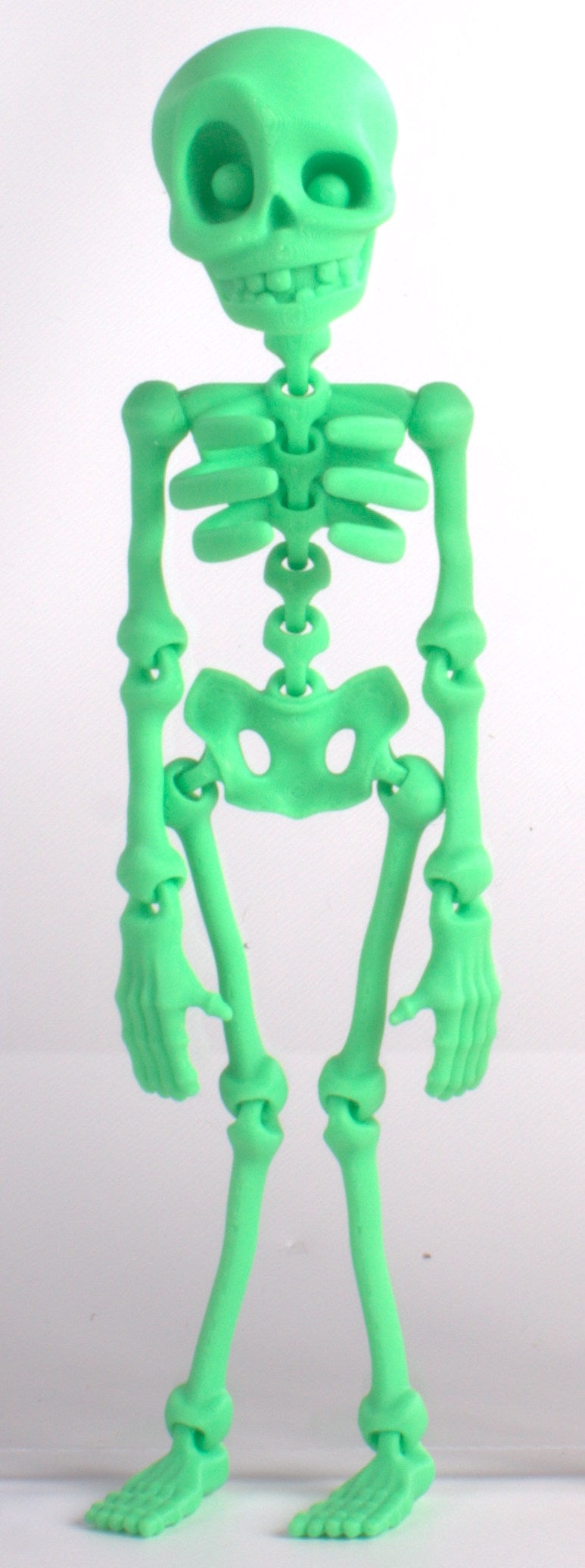 Skeledude Fidget & Magnet