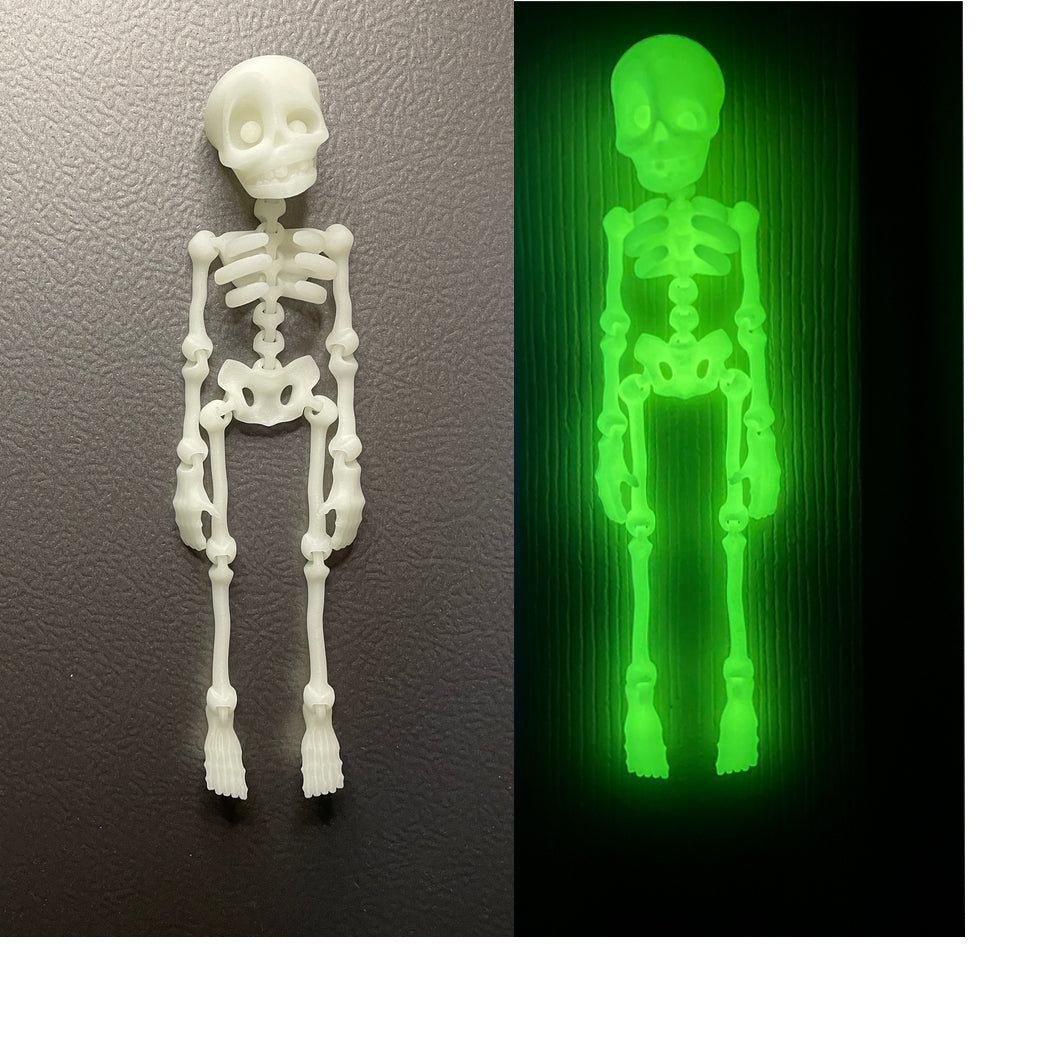 Skeledude Fidget & Magnet