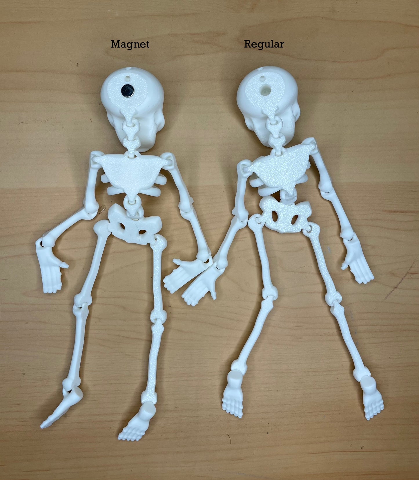 Skeledude Fidget & Magnet