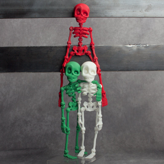 Skeledude Fidget & Magnet