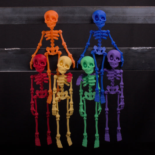 Skeledude Fidget & Magnet